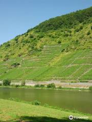 Weingut Edmund Becker