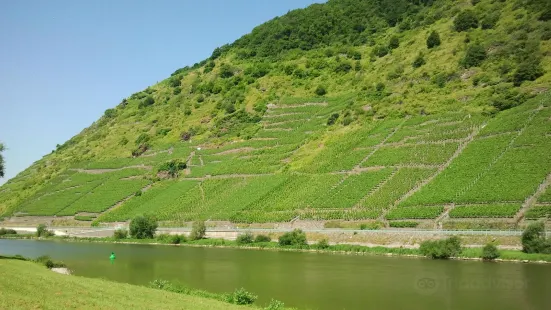 Weingut Becker