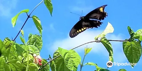 Calusa Park - City of Marco