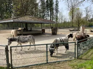 Erlebniswelt Seeteufel