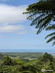 Mount Alexandra Lookout