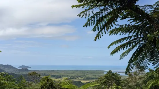 Mount Alexandra Lookout