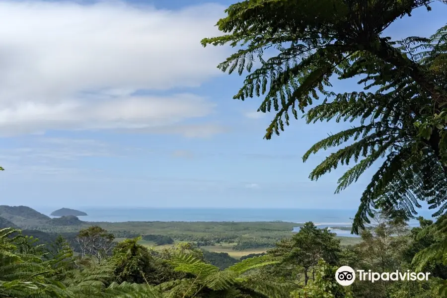 Mount Alexandra Lookout