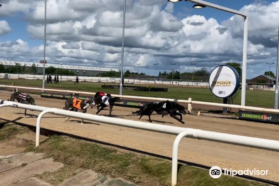 Newcastle Greyhound Stadium