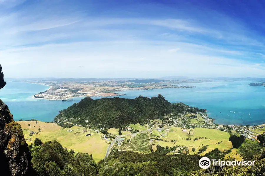 Mount Manaia Track