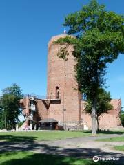 Kruszwica Medieval Castle