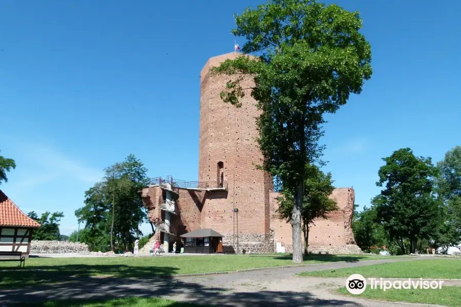 Kruszwica Medieval Castle