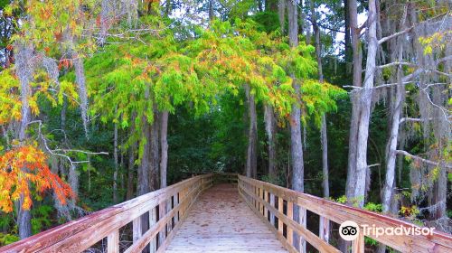 Lake Ashby Park