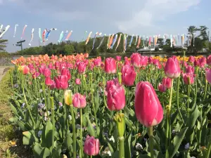 Hyogo Prefectural Flower Center