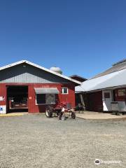 Little Qualicum Cheeseworks