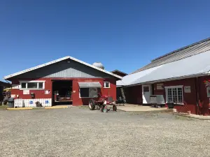 Little Qualicum Cheeseworks