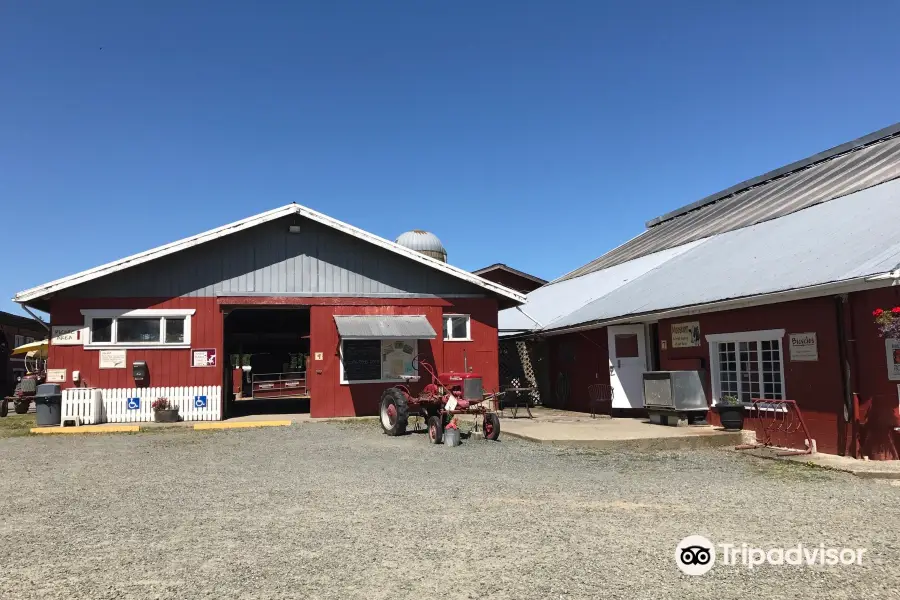 Little Qualicum Cheeseworks