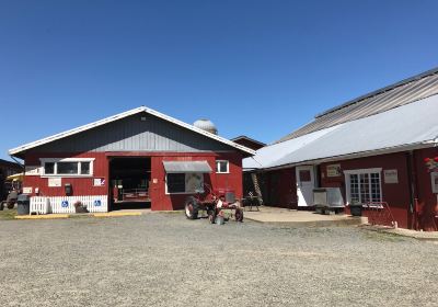 Little Qualicum Cheeseworks