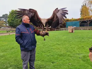 Thirsk Birds Of Prey Centre