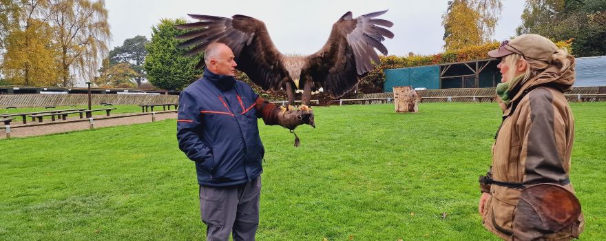 Thirsk Birds Of Prey Centre