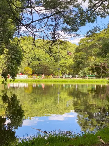 Parque Moinhos De Vento