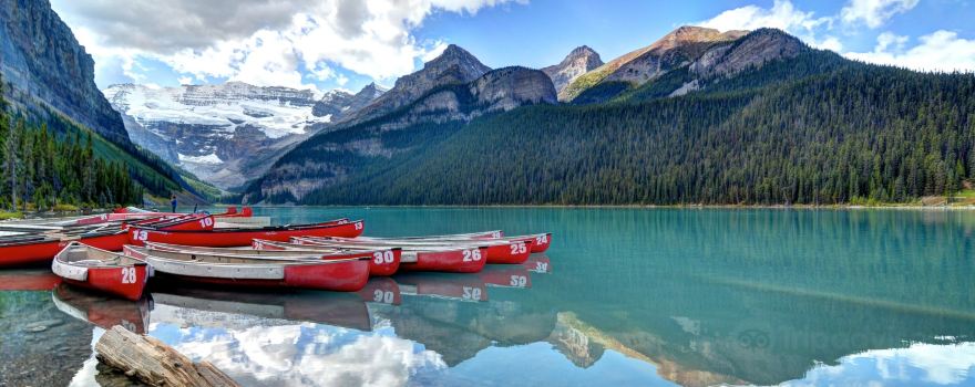 Hop On Banff Ltd.