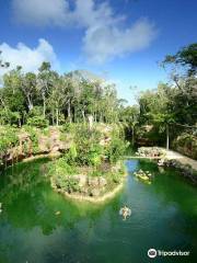 Xenotes Oasis Maya by Xcaret