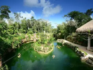 Xenotes Oasis Maya by Xcaret