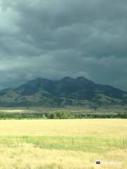 Bozeman Angler