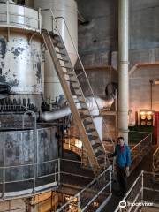 Georgetown Steam Plant