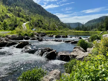 Spearfish
