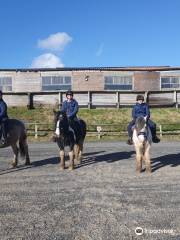 Polmartin Riding Equestrian Site