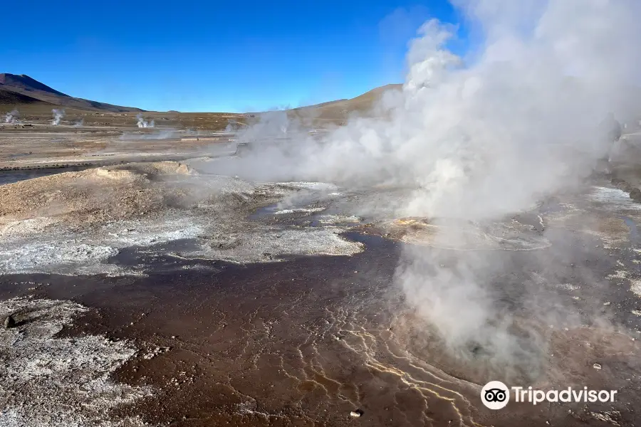 Geyser del Tatio