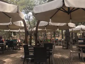FOREST PARK KEMALPAŞA