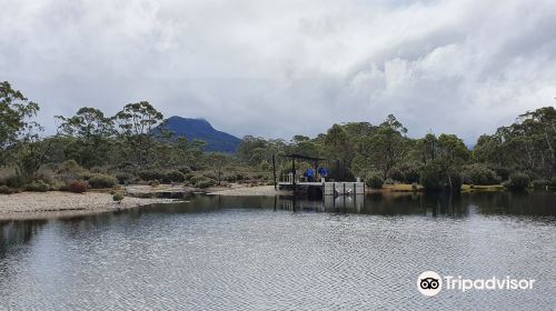 Narcissus Hut