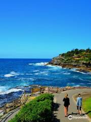 Bondi to Coogee Walk