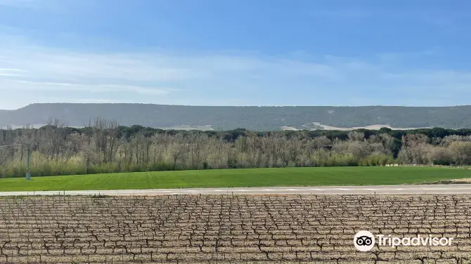 5_Bodega Matarromera