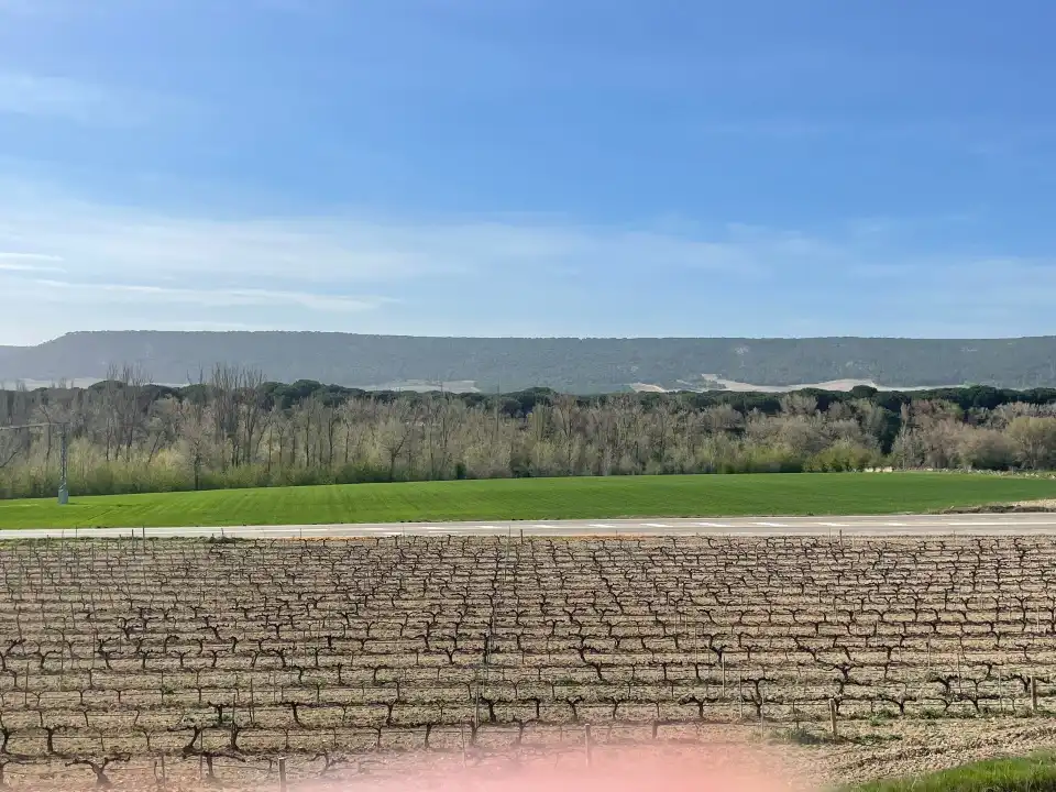 4_Bodega Matarromera