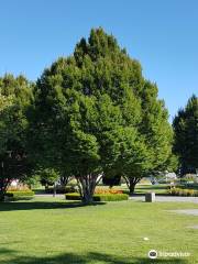 Kelowna City Park