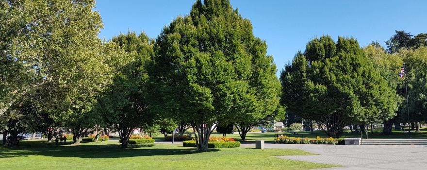 Kelowna City Park