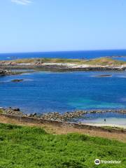 Réserve Naturelle des Sept Îles