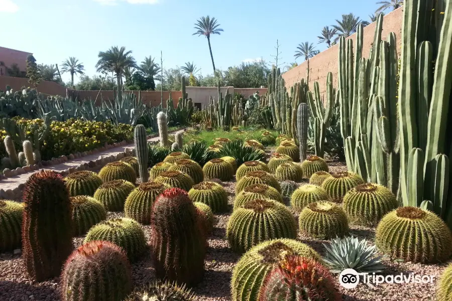 Musee de la Palmeraie