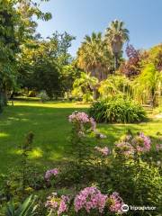 Le Jardin des plantes des Capellans