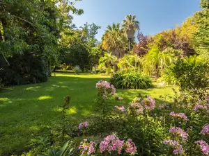 Le Jardin des plantes des Capellans