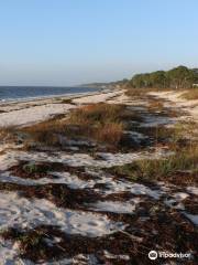 Carrabelle Beach, FL