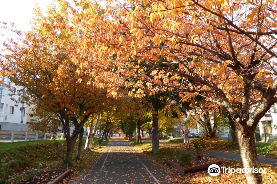 Shiroishi Cycling Road