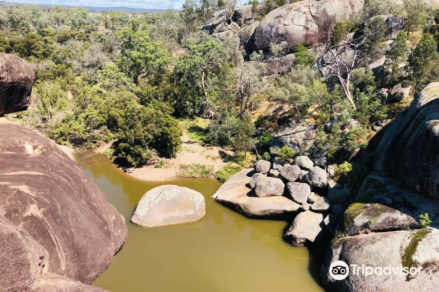 Cranky Rock Nature Reserve