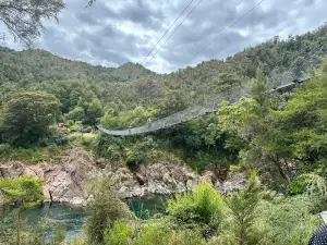 Buller Gorge Swing Bridge