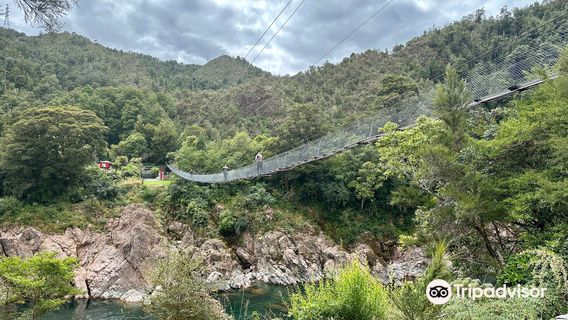 Buller Gorge Swing Bridge