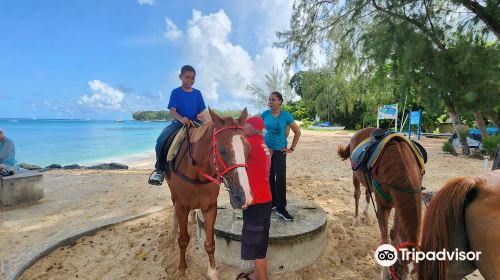 Holetown Beach