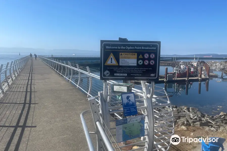 Ogden Point Terminal Pier B