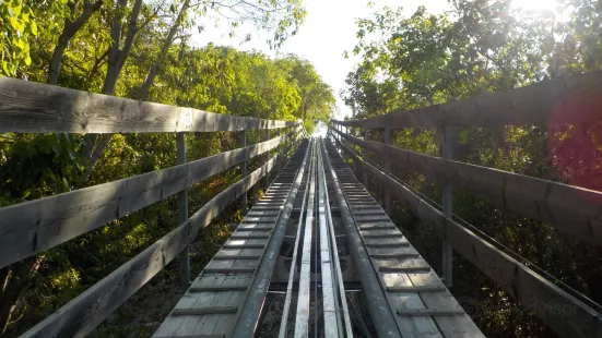 Dragon’s Tail Coaster