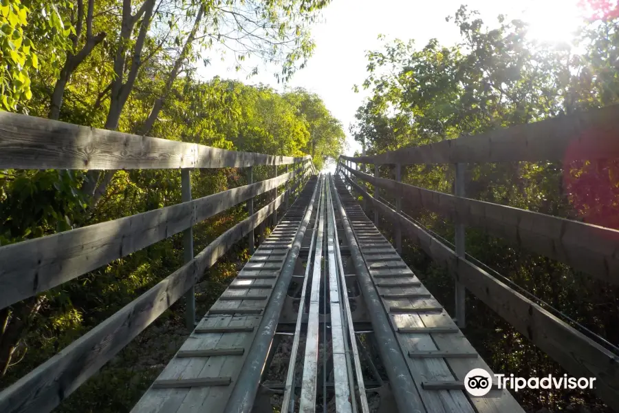 Dragon’s Tail Coaster