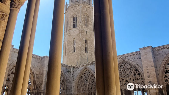 La Catedral Vieja