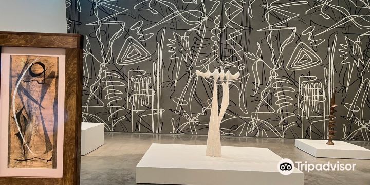 Nevada Museum of Art